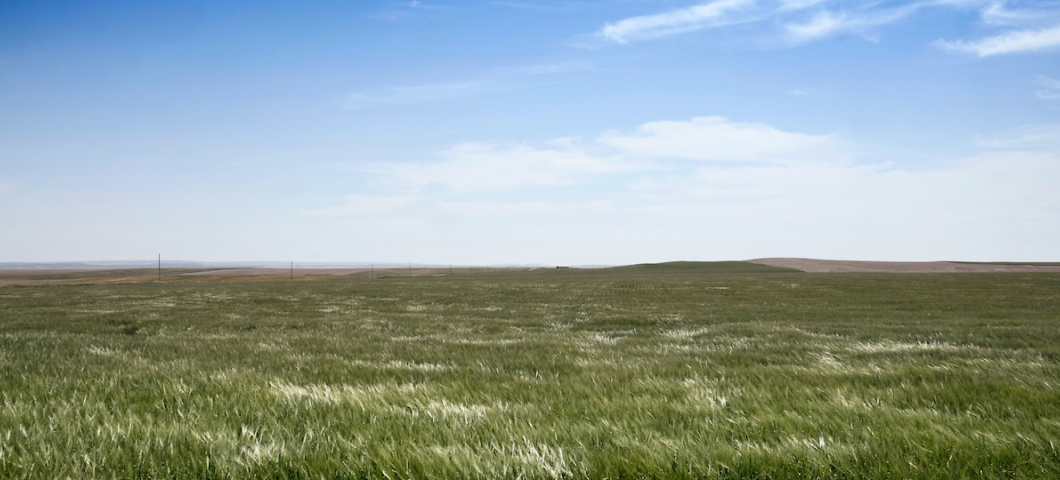 a Montana field with a blue sky