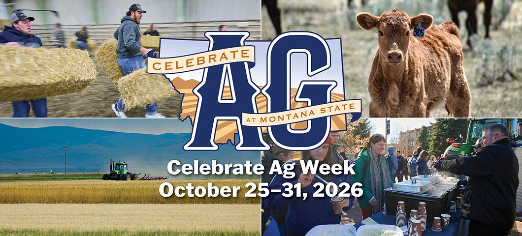 Students with hay bales, a calf,  a tractor in a field, and students at an event behind the Celebrate Ag logo and event title.