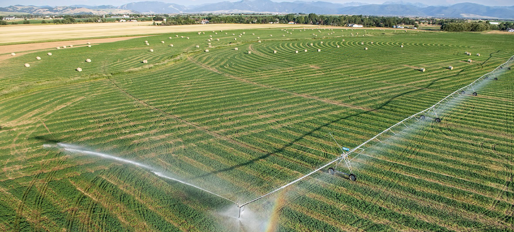 A long irrigation system watering a large field of crops.