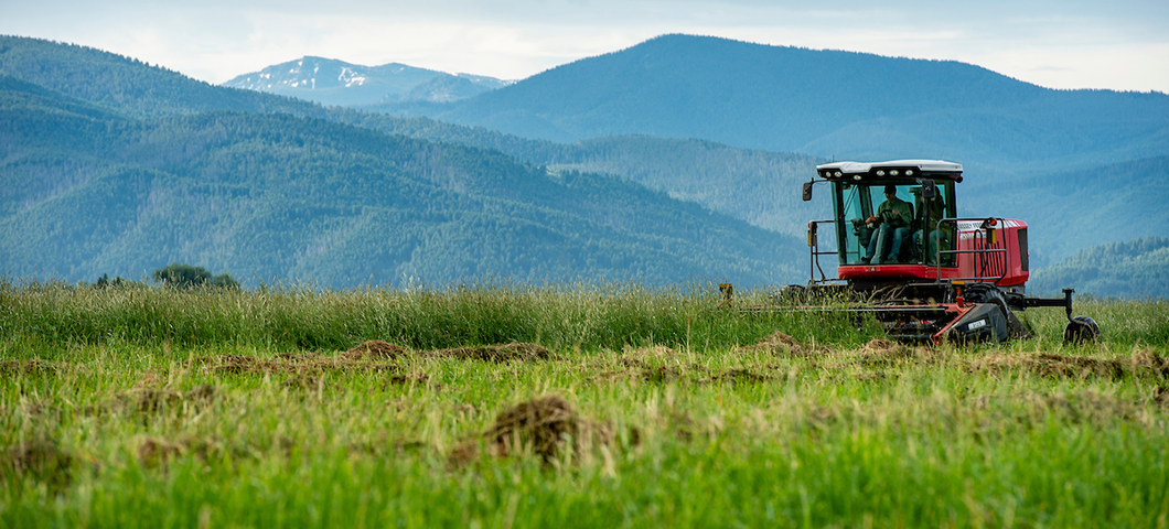 A red combine harvester going over a field with mountains in the background.