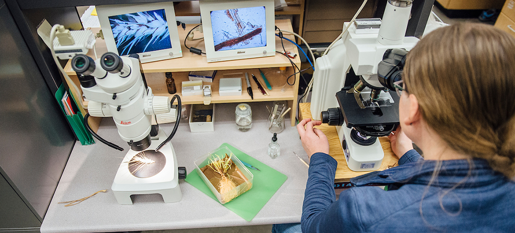 A person with glasses looking into a microscope with other tech equipment nearby.
