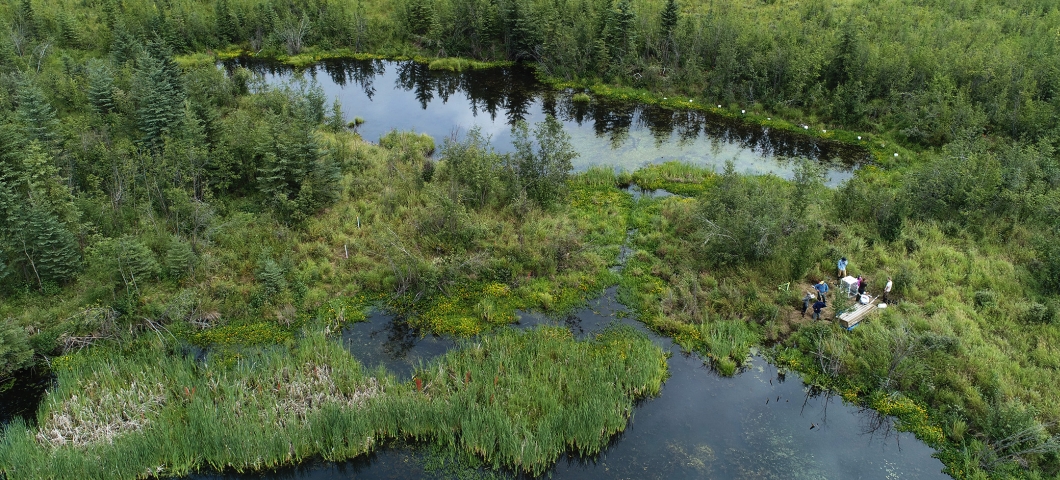 Drone photo of Alaska wetlands