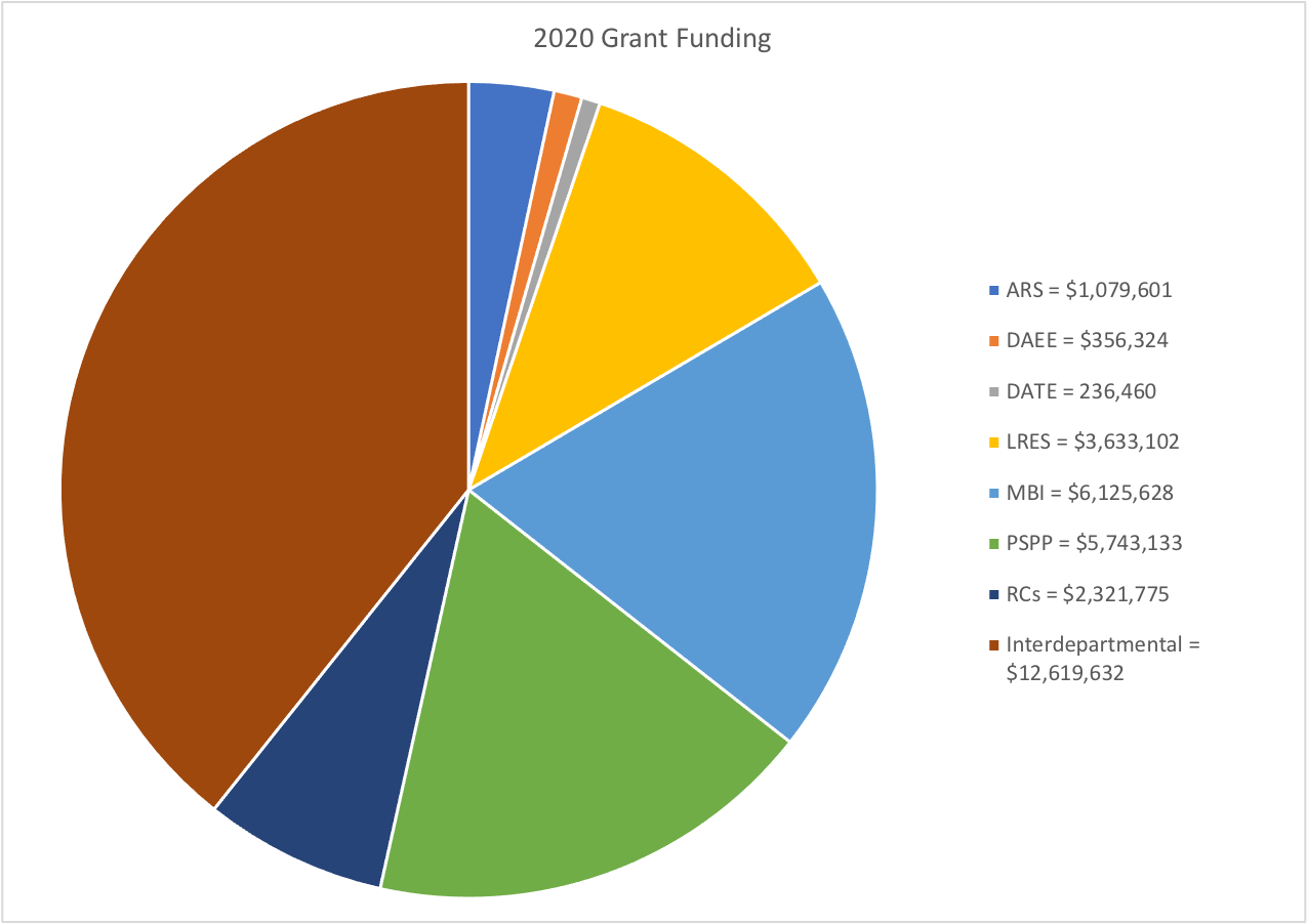 grants 2020 chart