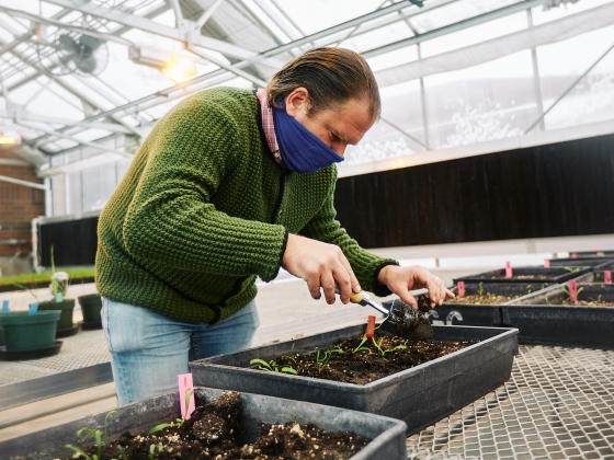 a man examines a garden plot