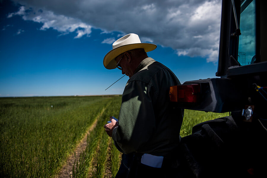 Farmer in a field